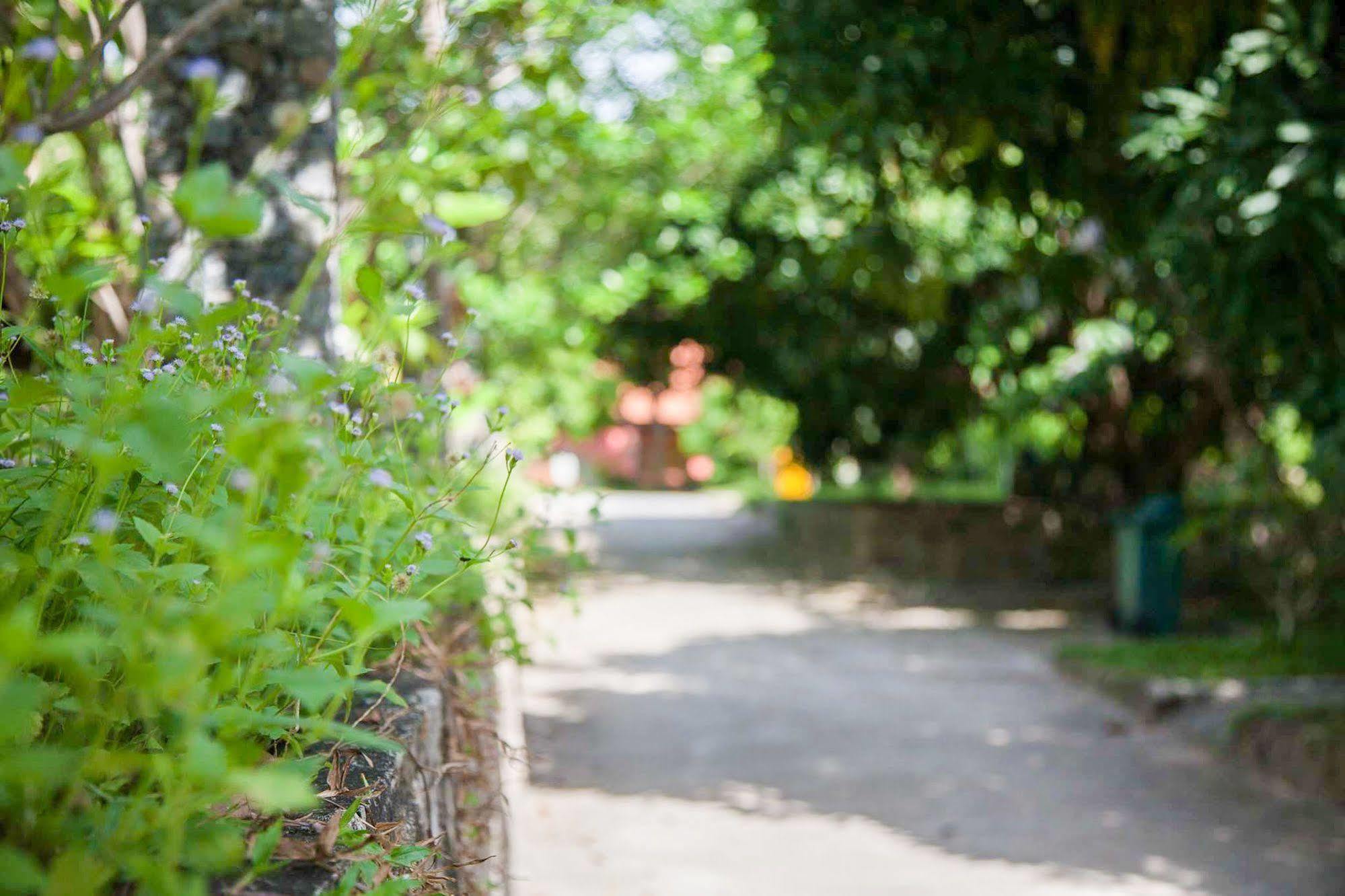 Garden Gasthuis